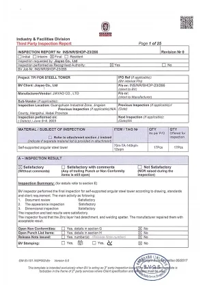 Отчет о независимой инспекции