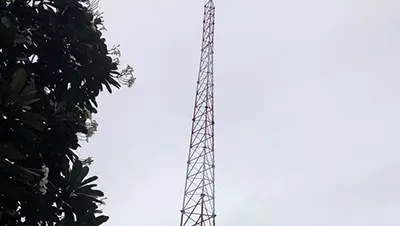 Примеры применения в проектах