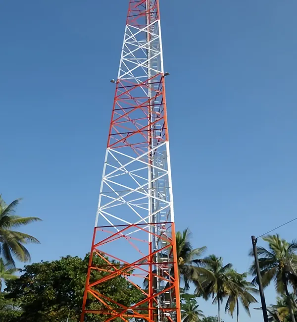 Применение и адаптивность