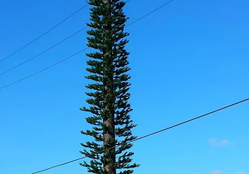 Дополнительные функции