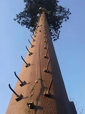 Финальная проверка внешнего вида